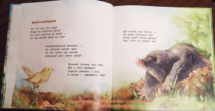Герман Петров. "Кот Афанасий и Книга Сказок" - пример страницы с иллюстрацией.